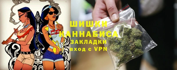 ГАЛЛЮЦИНОГЕННЫЕ ГРИБЫ Арсеньев