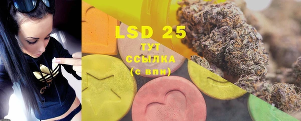 индика Анива