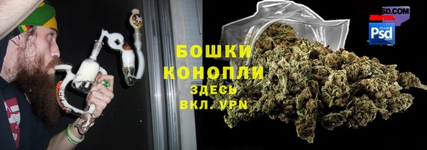 ГАЛЛЮЦИНОГЕННЫЕ ГРИБЫ Арсеньев