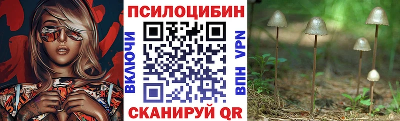 Галлюциногенные грибы Cubensis  Кемь 