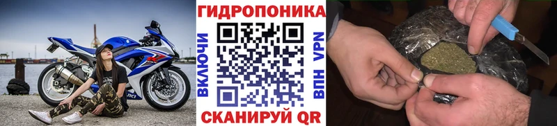 omg   Кемь  даркнет телеграм  Марихуана Bruce Banner 